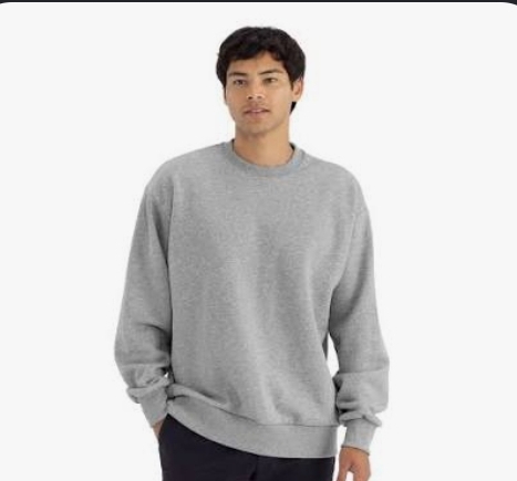 Gray Sweatshirt